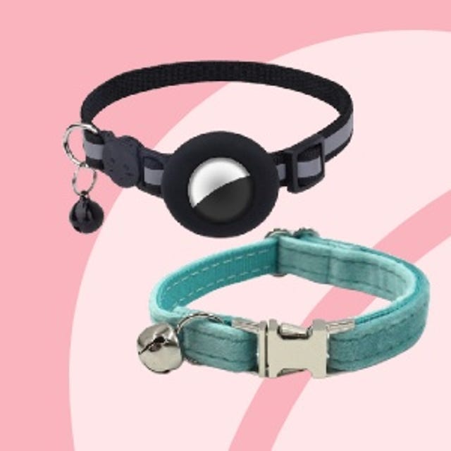 Kittenwinkel_Halsbanden.jpg Kittenwinkel_Halsbanden.jpg