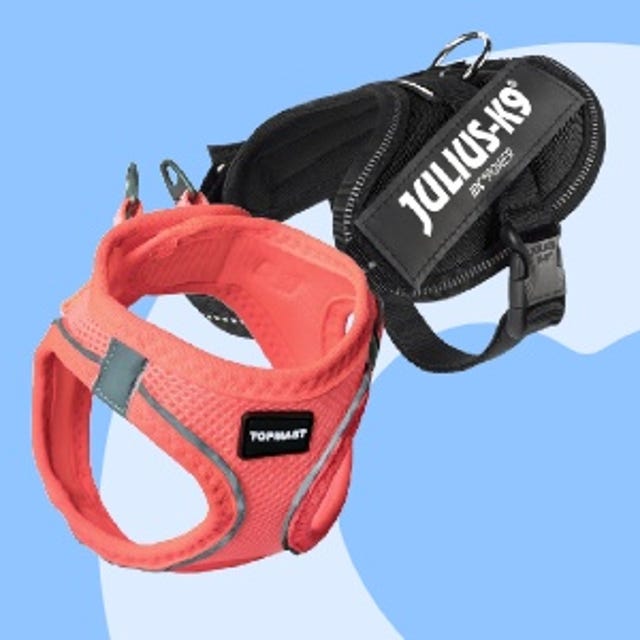 Puppywinkel_Hondentuigen.jpg Puppywinkel_Hondentuigen.jpg