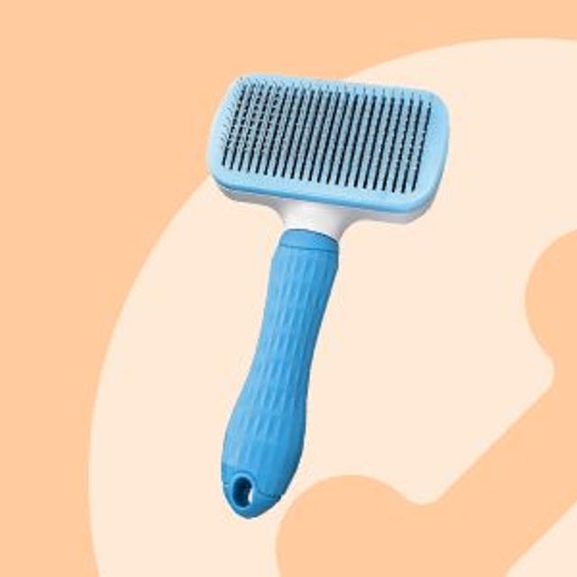 puppy_borstelen.jpg puppy_borstelen.jpg