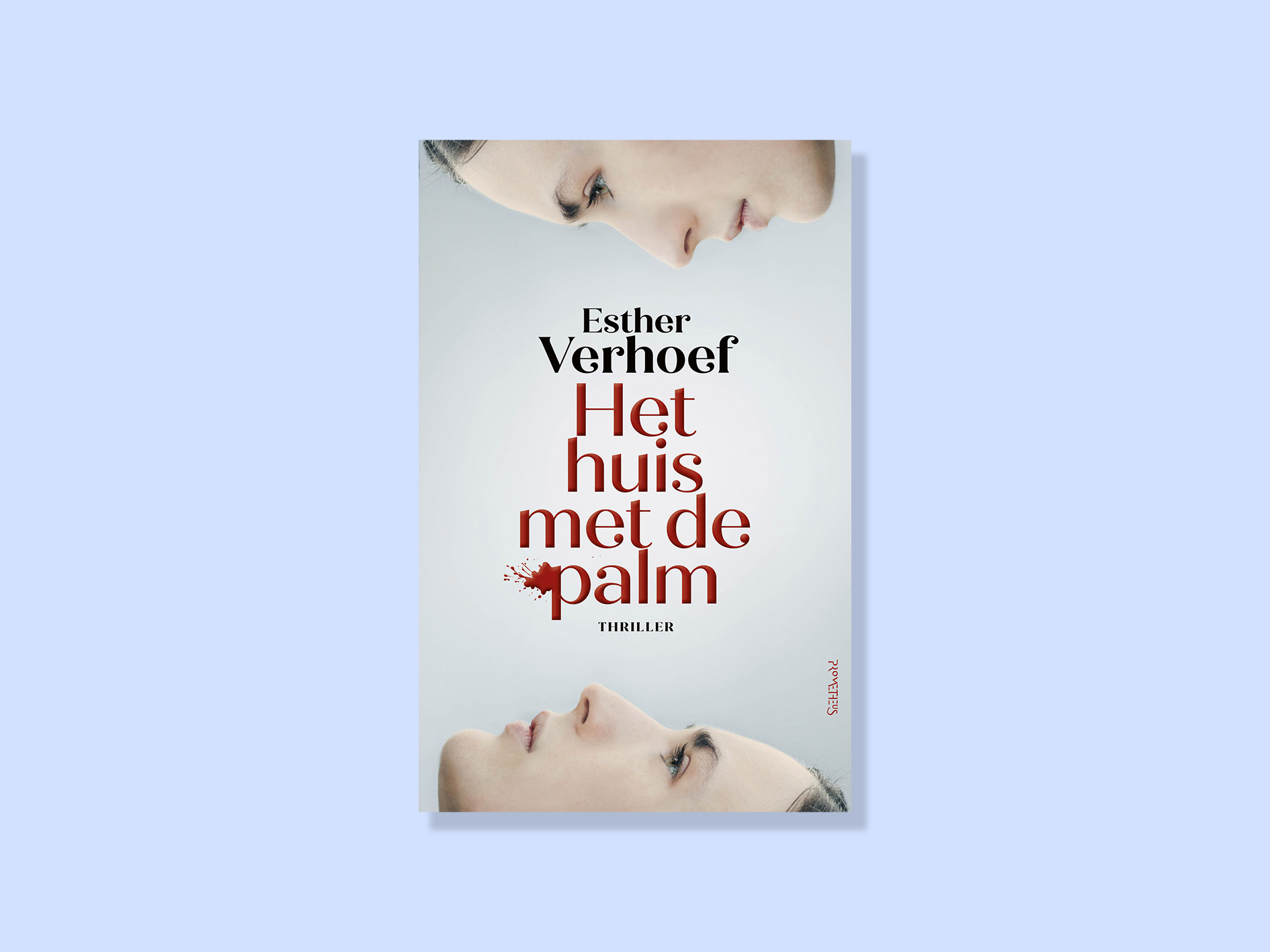 Het huis met de palm Esther Verhoef nieuw.jpg