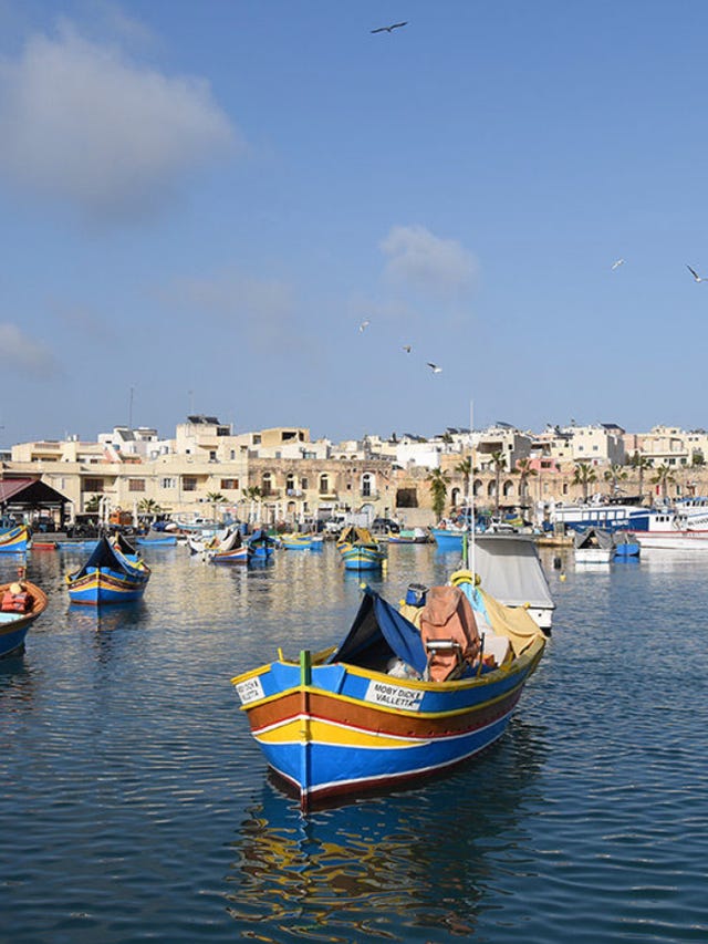 Schermafbeelding 2024-11-13 om 17.16.20.png