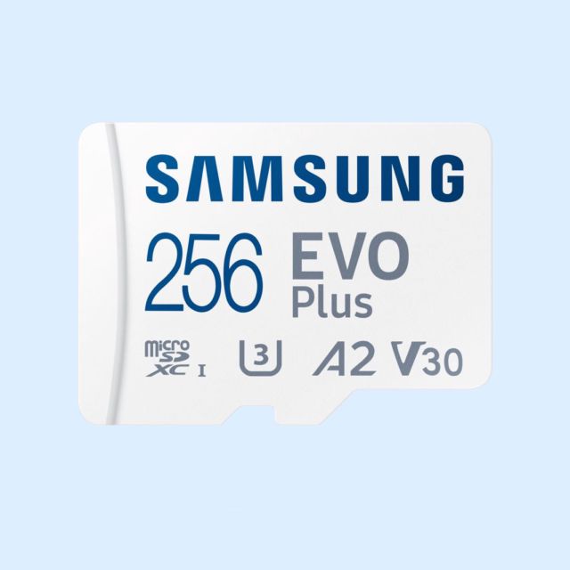 Samsung_Evo_Plus_SD_kaart.jpg