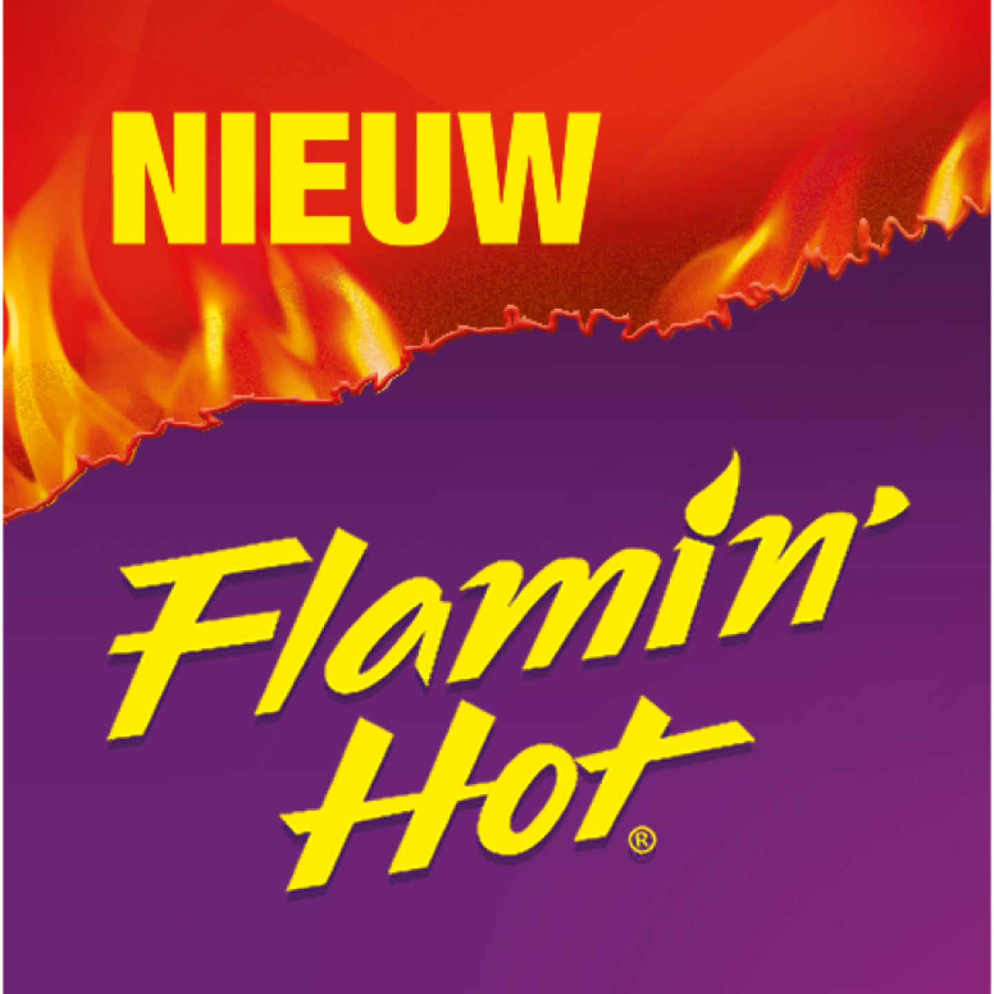 Nieuw-Flamin-Hot.png