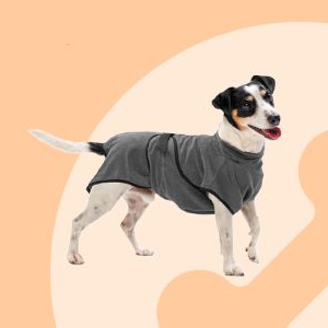 honden_badjas.jpg honden_badjas.jpg