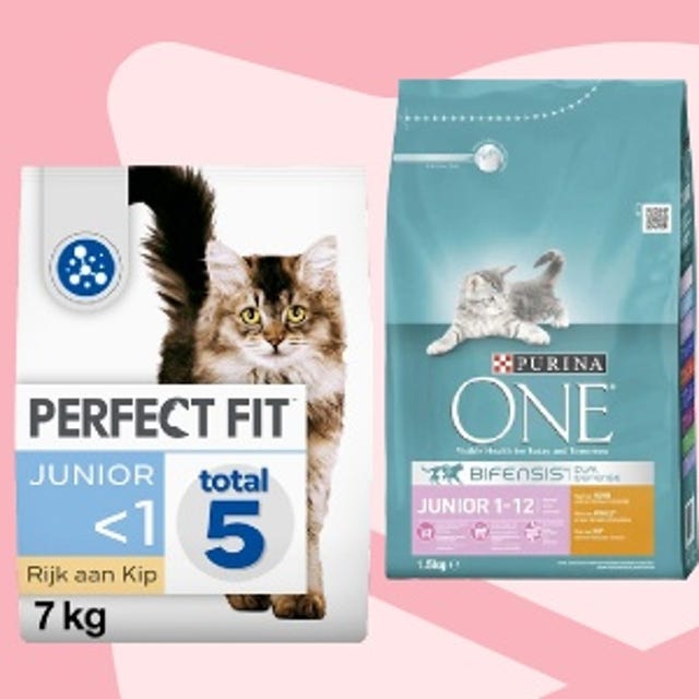 Kittenwinkel_Kittenbrokjes.jpg Kittenwinkel_Kittenbrokjes.jpg