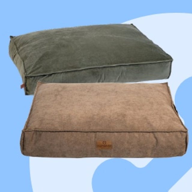 Puppywinkel_Kussens.jpg Puppywinkel_Kussens.jpg