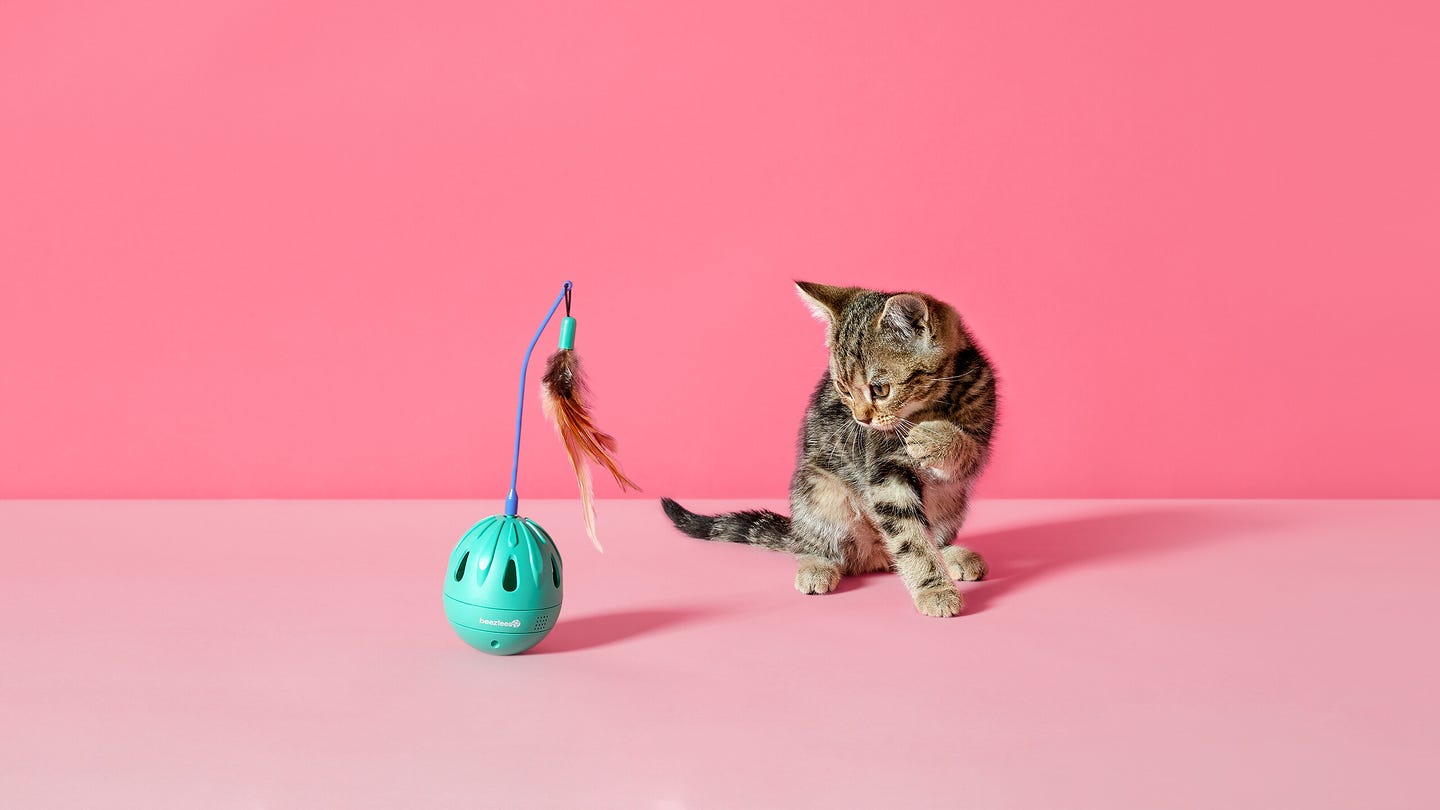 Content_stack-2021_Q3_Katten_Speelgoed-3840x1440.jpg