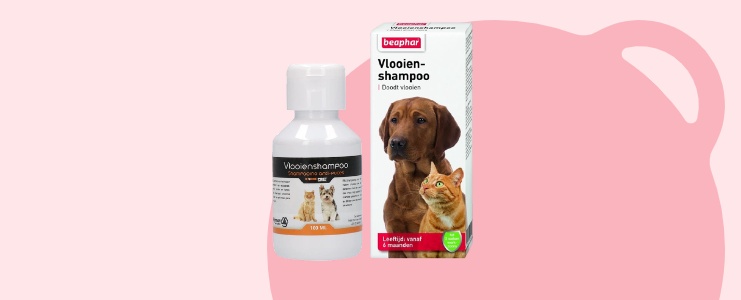 Hoe bescherm je je hond tegen teken en vlooien? | bol.com