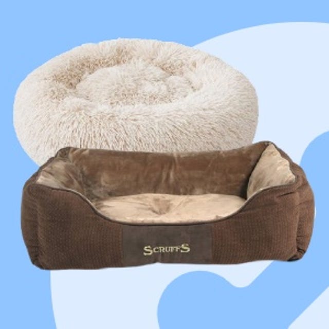 Hondenmanden_Puppywinkel.jpg Hondenmanden_Puppywinkel.jpg