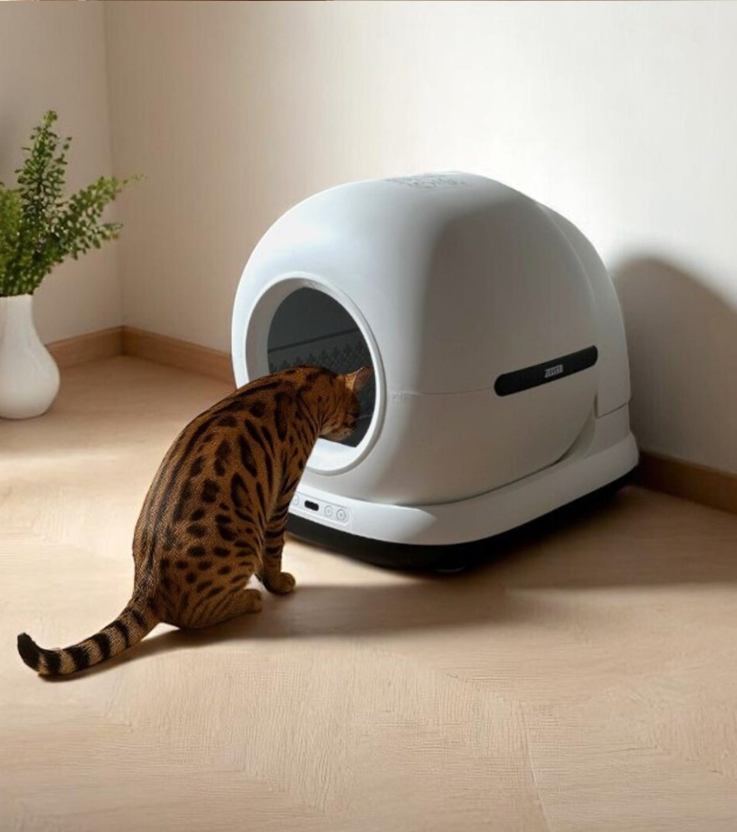 Editorial kattenbak.jpg